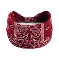 Wine Red Paisley