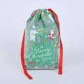 Grüner PE Weihnachts-Geschenkbeutel mit Kordelzug und festlichen Illustrationen - 22*16cm / Grün
