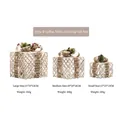 Three-piece glowing Christmas gift boxes in beige mesh with festive bows and pine needles - Style B Cream Burlap Lighted 3-Piece Set