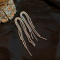 Elegant long silver tassel earrings with sparkling rhinestones on black silk background - Silver U-Shape