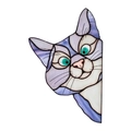 Gatto viola