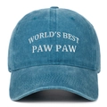 Detail of embroidered WORLD'S BEST PAW PAW text on a vintage washed cotton baseball cap - Lake Blue