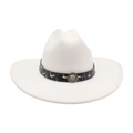 White felt fedora with patterned band and silver lion emblem in western style - White