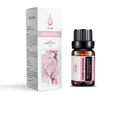 Water-soluble cherry blossom essential oil 10ml bottle with matching white packaging box - Cherry Blossom