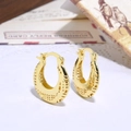 Close-up of gold-plated hollow hoop earrings featuring intricate retro lace patterns - Hoop Hollow Pattern Style (ZYN-DME361G)