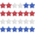 Set di 24 stelle di rattan decorative per il Giorno dell'Indipendenza in 3 colori - 6cm Stella (15)
