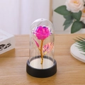 Luminous laser rose in glass dome with black base and warm white LED lights decoration - Eternal Flower + Plastic Dome + LED String + Box / Pink