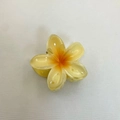 Frangipani claw clip in yellow and orange gradient with translucent finish - Frangipani Hair Clip / 6x5x3.8CM / Champagne