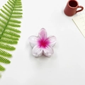 Pink and white gradient flower hair claw clip with a refined five-petal design for women - Small (approx 4cm) / White Pink