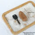 Natural spruce pine cone 6-8cm size reference with car key in snowy wooden tray - 6-8cm Spruce Pine Cones