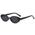 Retro ovale zonnebril met zwart montuur en donkergrijze glazen in een minimalistische stijl - Zwart Frame Zwart Grijze Lens