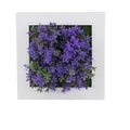 Artificial purple succulent plant in a white square frame wall decor 15cm x 15cm - Style 12A