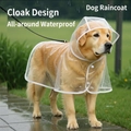 Transparent dog raincoat with white trim and large hood for large golden retrievers - XS / White Edge