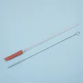 Tritan straw set featuring a clear glass straw with brick red silicone tip and brush - Brick Red