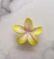 Elegant yellow and pink gradient frangipani hair claw clip with glossy resin finish - Gradient Yellow