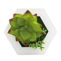 Artificial succulent in white hexagonal pot with green moss and red tipped leaves - Style 11E