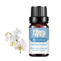 10ml white orchid essential oil in amber glass bottle with floral petal accent - White Orchid (single Ingredient)