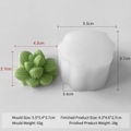 Succulent cactus silicone mold for DIY candles and resin crafts with size specifications - Succulent H-0563