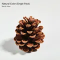 Natural brown pine cone ornament for DIY crafts, single piece size 8-10cm in height - Single Piece / Original Color