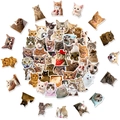 Pack de 50 pegatinas de gatos lindos con varias razas y expresiones divertidas - 50 piezas de Emojis de Gato