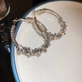 Detailed close-up of silver hoop earrings paved with sparkling zircon stones in a box - Silver Pave Zircon Style (33#) / Silver