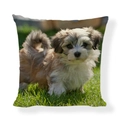 Linen cushion cover with a cute puppy print on a sunny lawn, 45x45 cm square pillow case - Square (No Insert) / Puppy in Sunny Grass Style (AB6821-8)