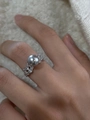 Silver lace ring featuring a large grey pearl and sparkling zircon pavé setting - Grey Pearl Full Zircon Silver Ring
