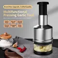 Manual stainless steel garlic press and chopper with transparent container for mincing - Stainless Steel + Electroplated Layer / Electroplated Model