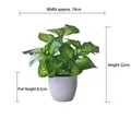 Artificial pothos plant in white pot measuring 22cm height and 19cm width for decor - Small Pot + Green Perilla Leaf