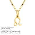 Minimalist golden Leo constellation pendant necklace made of durable stainless steel - Leo / Gold