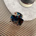 Mini acetate hair claw clip featuring dark blue and brown tortoiseshell pattern with glitter - Marbled Blue
