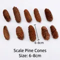 Pommes de pin naturelles brunes 6-8cm lot de 10 pour décorations florales de Noël - Pomme de Pin en Écailles de Poisson 10pcs [6-8cm]