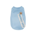 Pull bleu clair pour animaux avec sangle GOODEST BOYZ et bouton décoratif en bois - S / Bleu