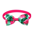 Summer fruit pet bowtie with watermelon print on elastic pink strap for small dogs and cats - Rose Red Watermelon