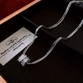 Macro shot of silver cylindrical pendant with cubic zirconia on black jewelry box - Silver Cylinder Zirconia / Silver