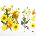Dettaglio di 12 pezzi di fiori secchi gialli e arancioni per creazioni in resina - Mini Pacchetto di Fiori Arancio-Giallo