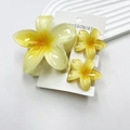 Frangipani hair claw clip set with yellow gradient flowers on a display card - Gradient Yellow Set (with Cards)