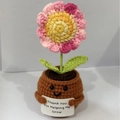 Handmade crochet positive potato potted plant with 'Thank you For Helping Me Grow' sign - Positive Potted-Gradient Sunflower