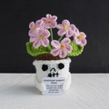 Handmade pink flower crochet plant in white skull pot with emotional support card - Halloween Forget-Me-Not Pink