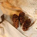 Drie natuurlijke gedroogde dennenappels op linnen voor rustieke kerstdecoraties - Lange Dennenappel
