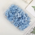 Pétalos de hortensia azul preservados en caja de plástico para manualidades y bodas - 5g / Azul Cielo