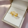Adjustable gold plated pig nose ring with micro-pave crystals in a premium jewelry box - Adjustable Open / Gold (J0023 Real Gold Plated)