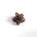 Plumeria flower hair claw clip featuring stylish brown leopard tortoiseshell pattern - Frangipani Hair Clip / 4x3.6x2.6CM / Coffee Leopard