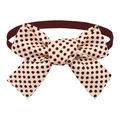 Classic polka dot pet bowtie in cream and brown with adjustable fabric strap - Off-white Dark Brown Polka Dot