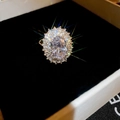 Detaillierte Makroansicht eines ovalen Zirkon-Sonnenblumenrings mit doppeltem Pavé-Halo - Gold Ovaler Hauptstein (21#)