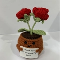 Handmade crochet positive potato potted plant with red flowers and growth card - Positive Potted-Double Head Rose Red