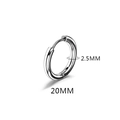 Minimalist silver titanium steel hoop earring with 20mm diameter and 2.5mm thickness - 2.5*20mm Silver (Single)
