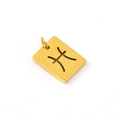 18K gold plated stainless steel Pisces zodiac pendant with cutout symbol - Pisces