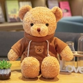Hoodie Bear - Brown 30 Centimeters In Length