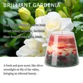 Gardenia scented candle with multi-color layered sand crystals in a glass cup - Sunset Series - Gorgeous Gardenia